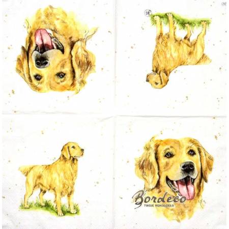 Serwetka decoupage firmy IHR labrador 33x33cm